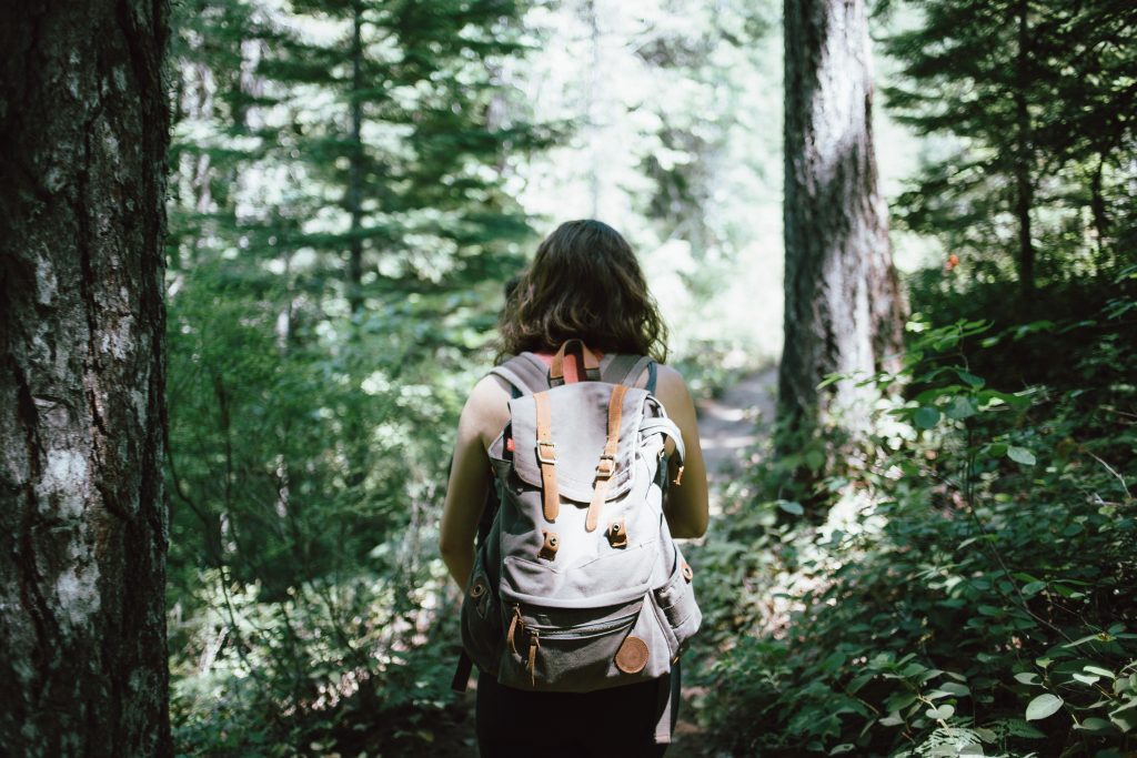 Woman with a backpack on faces away from camera, looking at a forest