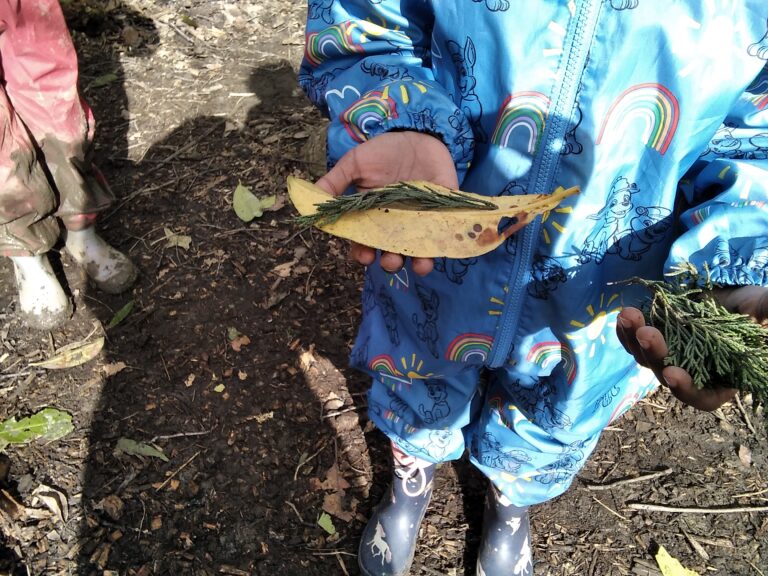 Child holding some leaves